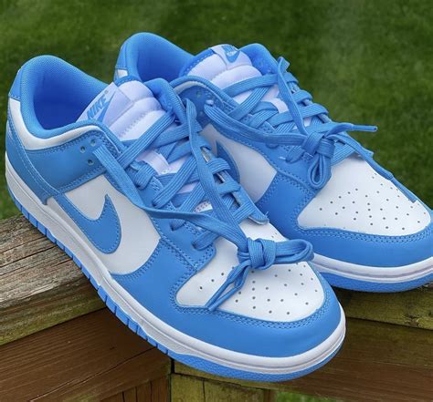 Nike dunks shoes